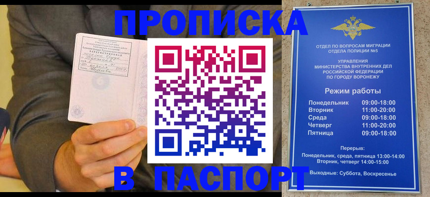 регистрация в Судогде